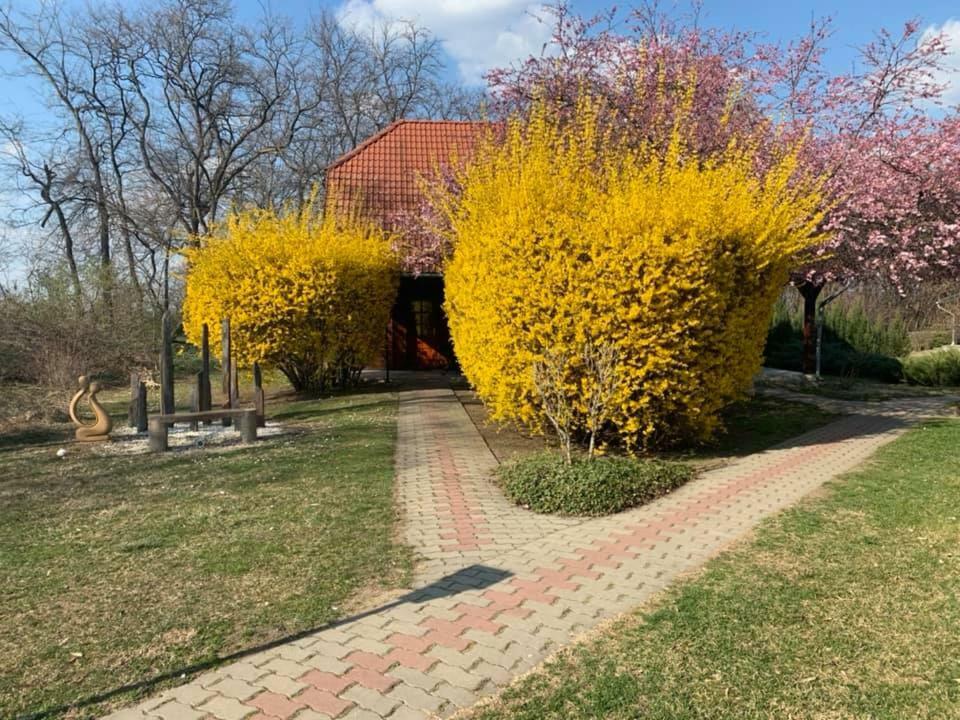 Sipito Pihenopark Hotel Pilis Exterior photo
